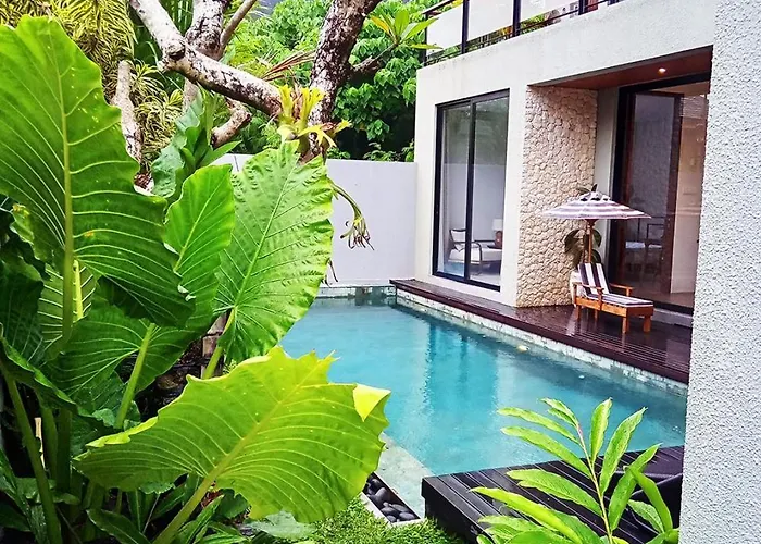 Pixy * Kerobokan